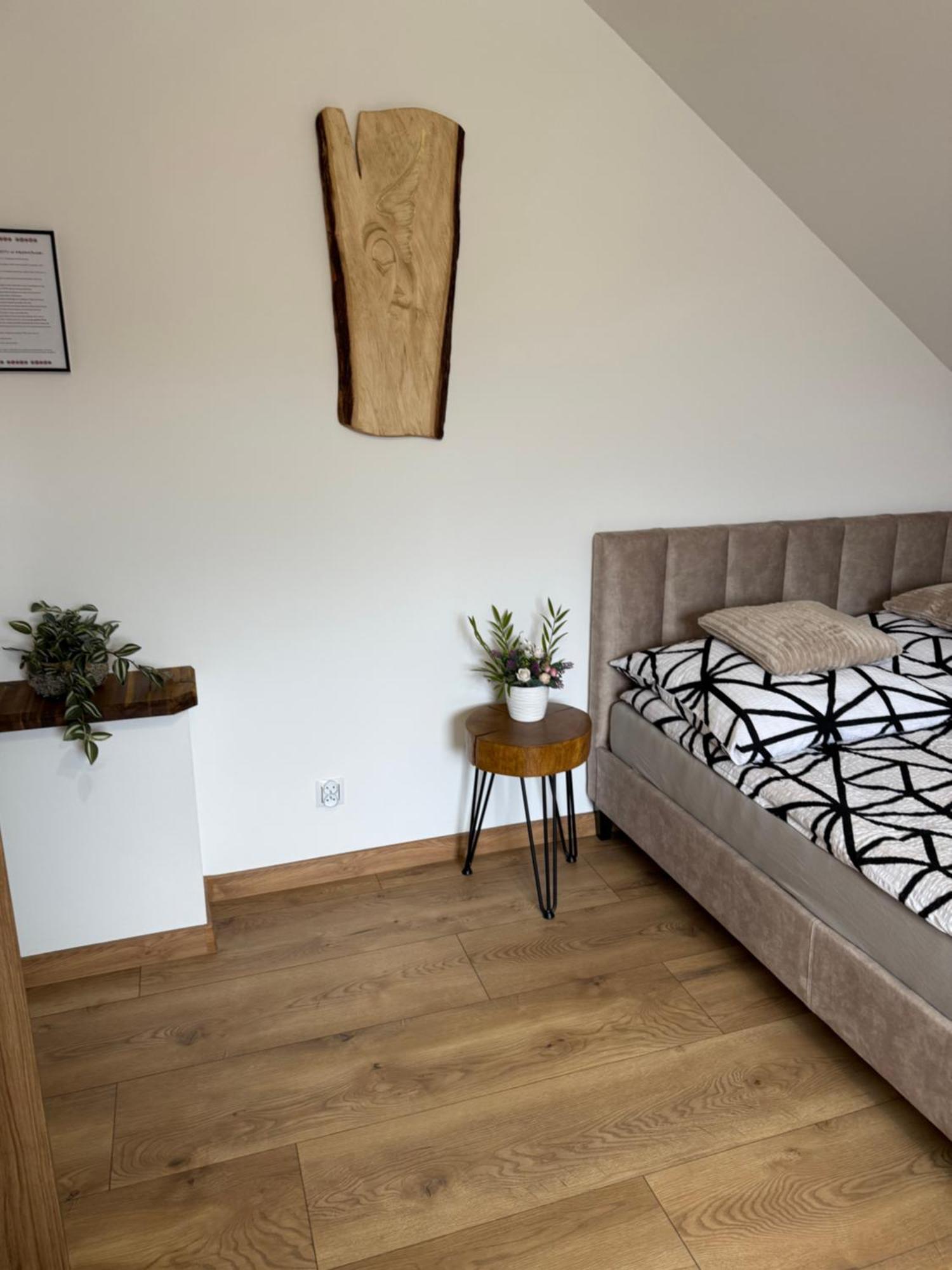 Apartament Z Tarasem I Pokoje Klimatyzowane -Drozdowka Solina Солина Экстерьер фото